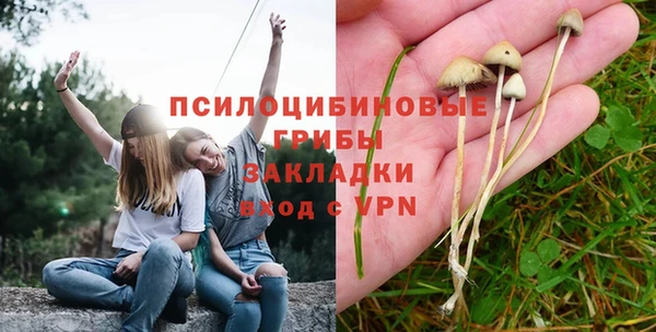 герыч Инсар