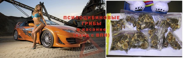 мяу мяу кристалл Иннополис
