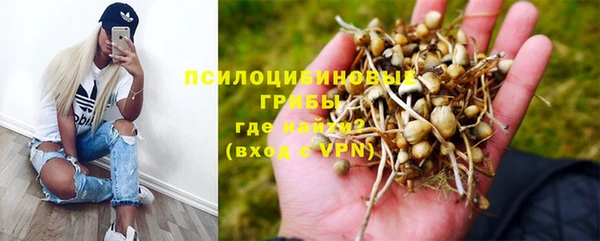 герыч Инта