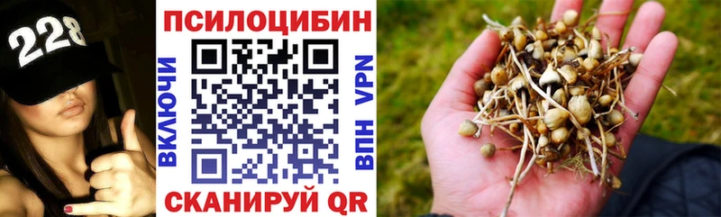 Галлюциногенные грибы MAGIC MUSHROOMS  Купить закладки  Снежногорск 
