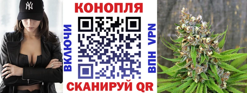 Купить закладки  Снежногорск  Каннабис LSD WEED 
